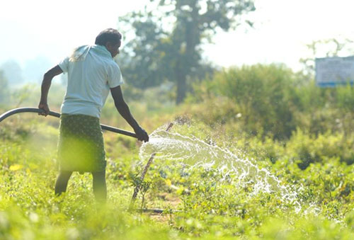 Vedanta Aluminium Drives Water Stewardship with 24 Lakh+ m³ of Recharge and Storage