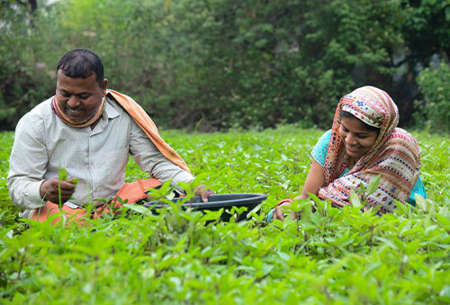 Vedanta Aluminium’s VedGram Strengthens Rural Livelihoods and Sustainable Farming in Jharsuguda