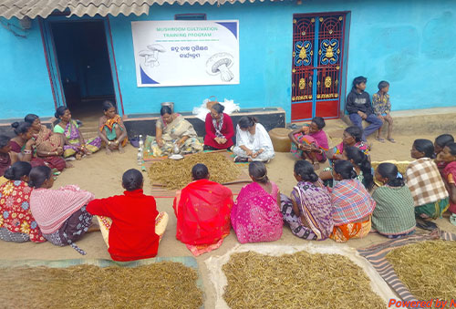 Vedanta Aluminium Expands Livelihoods for Women in Rayagada Through Mushroom Cultivation