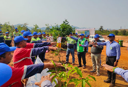 On World Environment Day, Vedanta Aluminium scales plantation initiatives across Kalahandi-Rayagada-Koraput